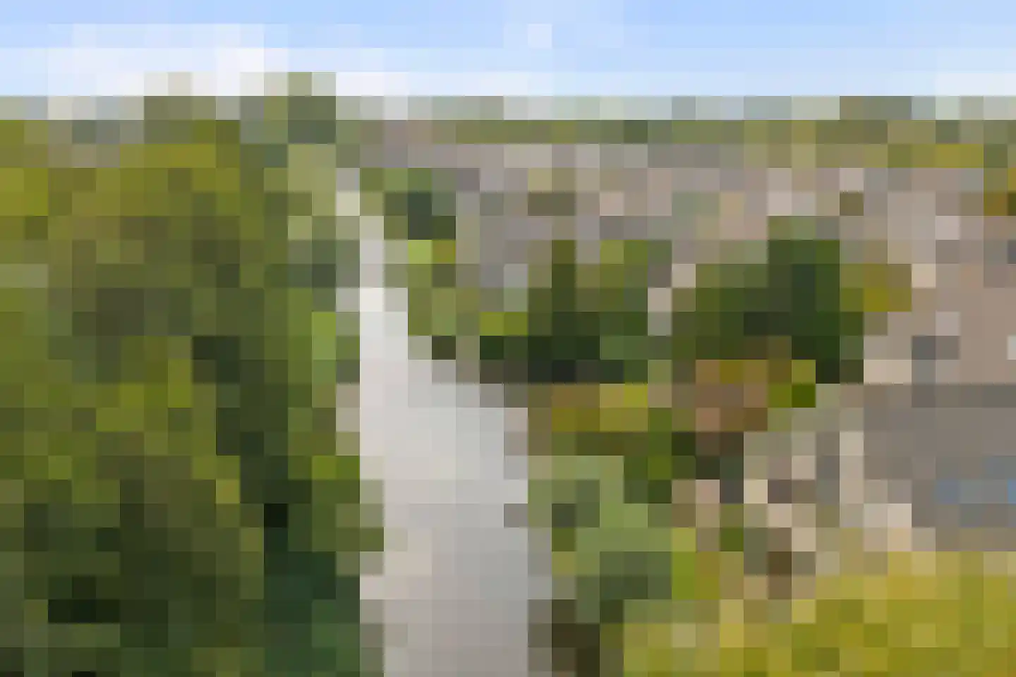 Dillegaarde 4 Gouda thumbnail 71