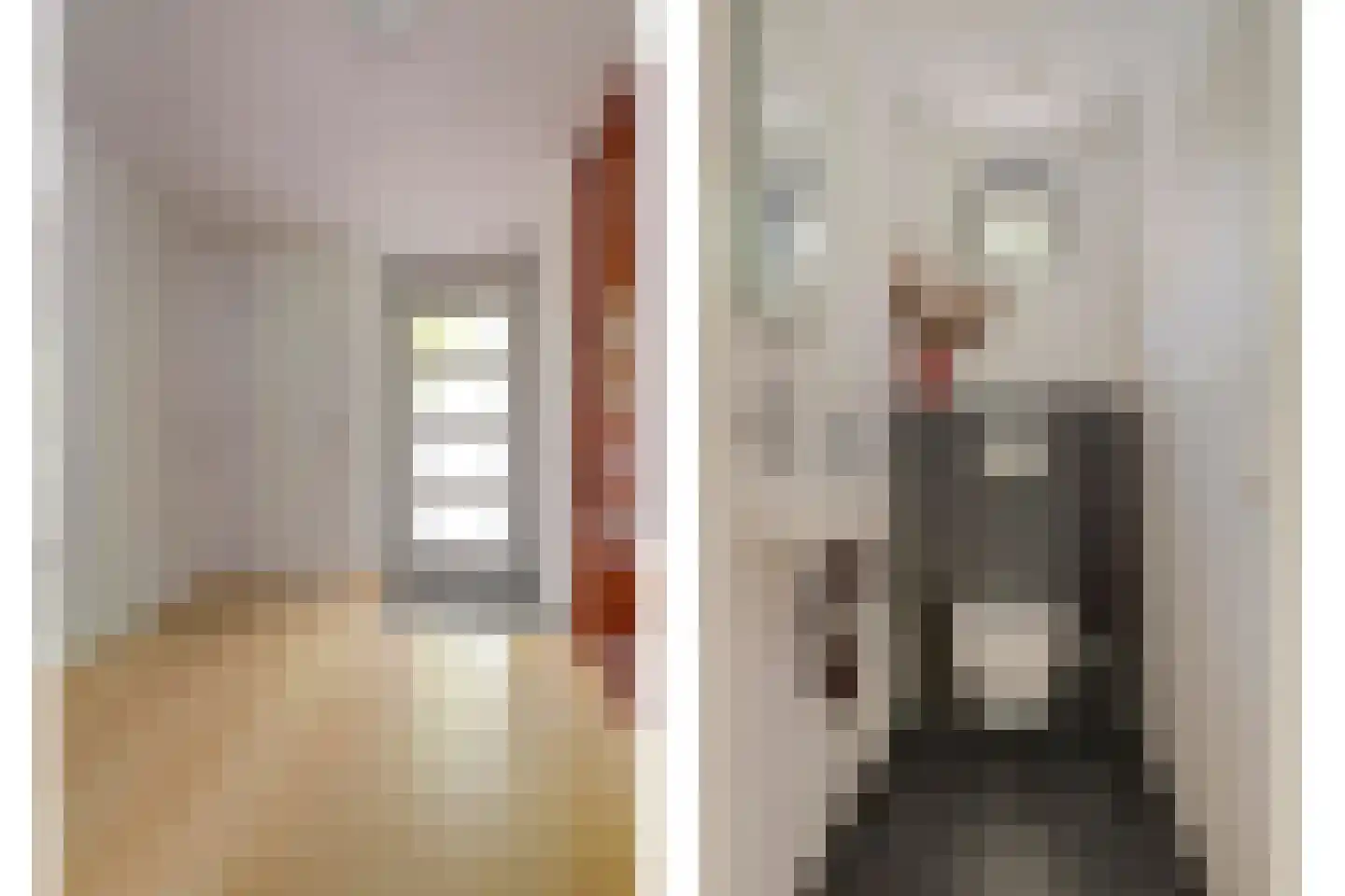 Dillegaarde 4 Gouda thumbnail 8