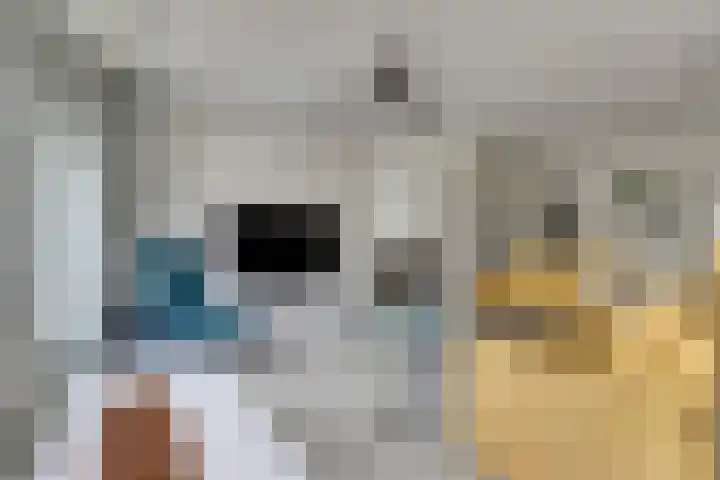 Dillegaarde 7 Nieuwegein thumbnail 11