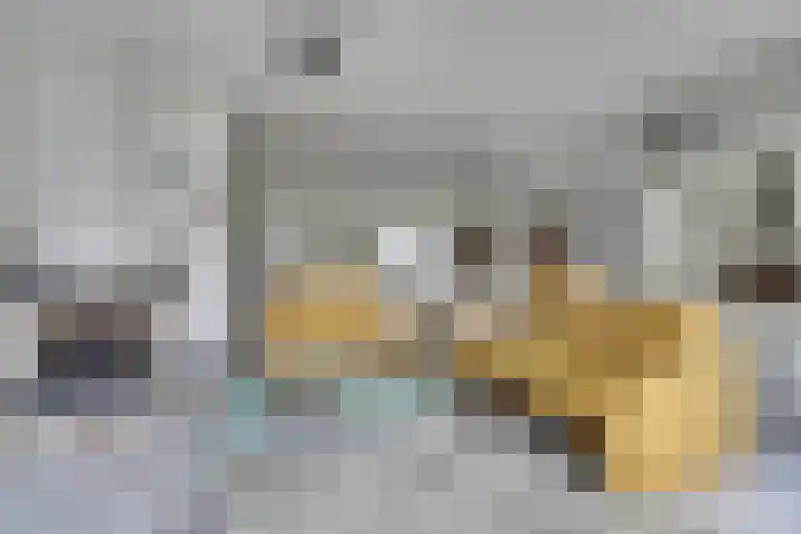 Dillegaarde 7 Nieuwegein thumbnail 12