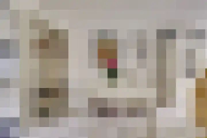 Dillegaarde 7 Nieuwegein thumbnail 15
