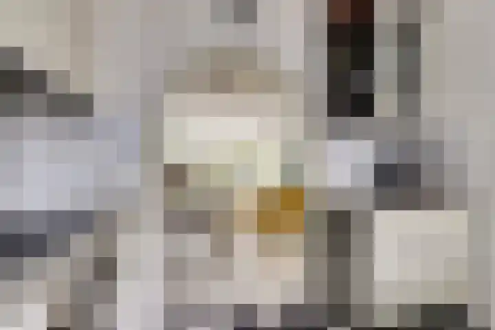 Dillegaarde 7 Nieuwegein thumbnail 16