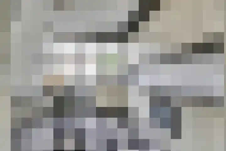 Dillegaarde 7 Nieuwegein thumbnail 18