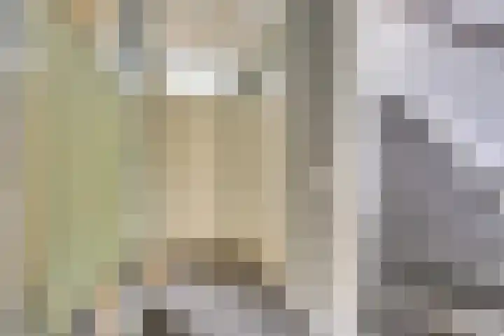 Dillegaarde 7 Nieuwegein thumbnail 20