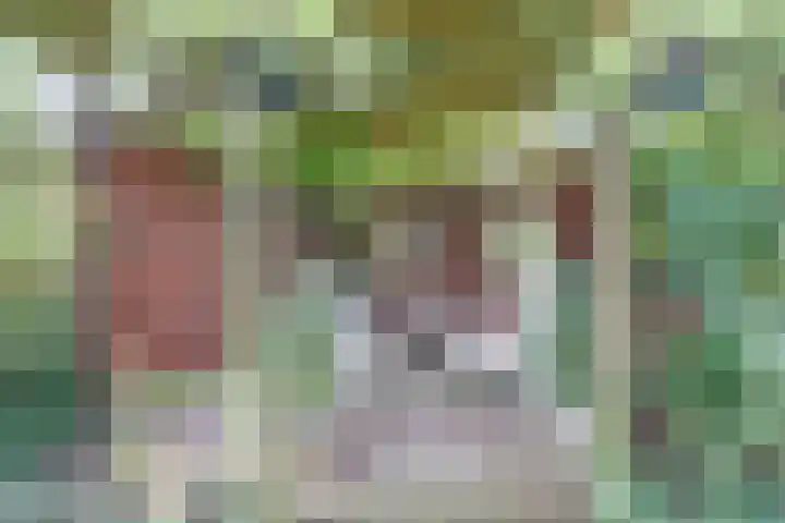 Dillegaarde 7 Nieuwegein thumbnail 34