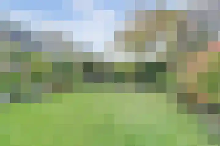 Dillegaarde 7 Nieuwegein thumbnail 38