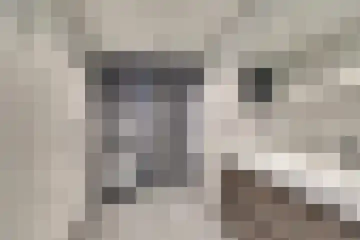 Dillegaarde 7 Nieuwegein thumbnail 4