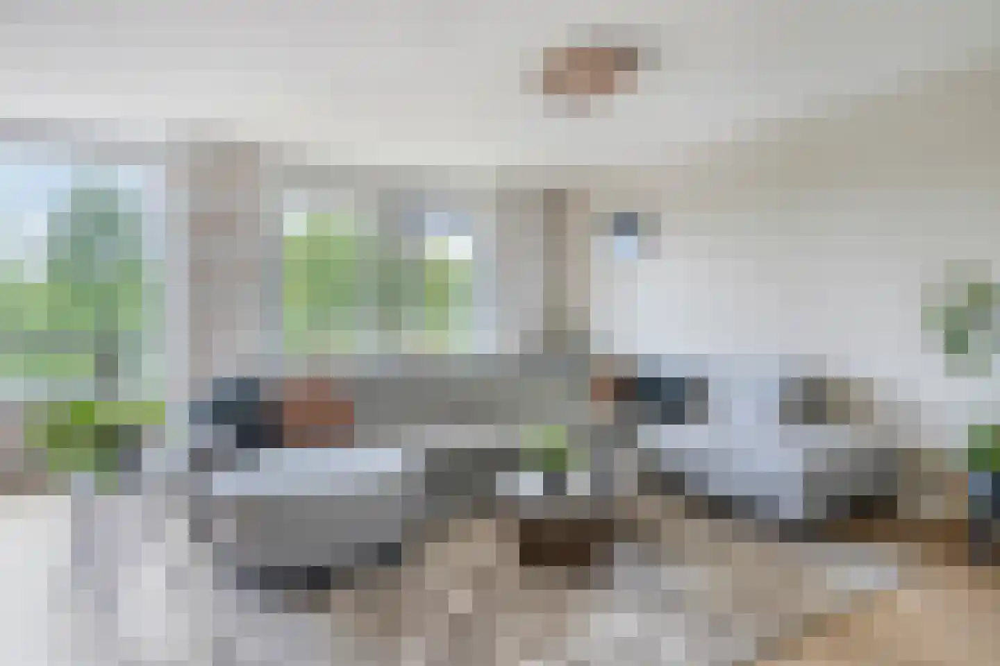 Dillehof 41 Oosterhout thumbnail 10