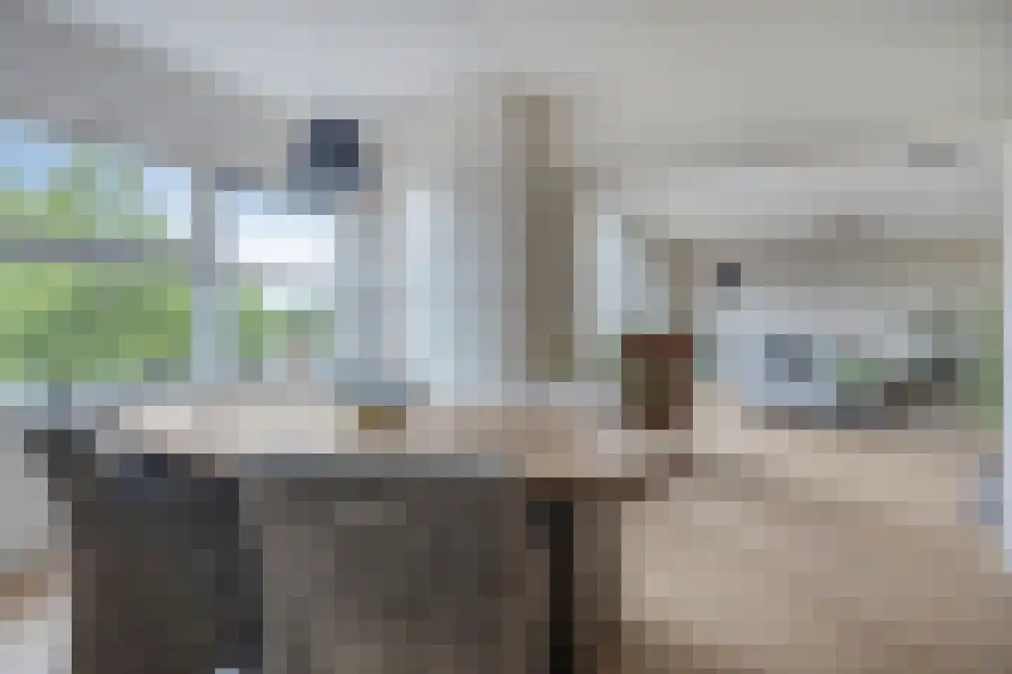 Dillehof 41 Oosterhout thumbnail 13