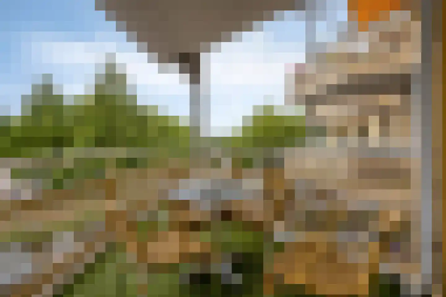 Dillehof 41 Oosterhout thumbnail 16