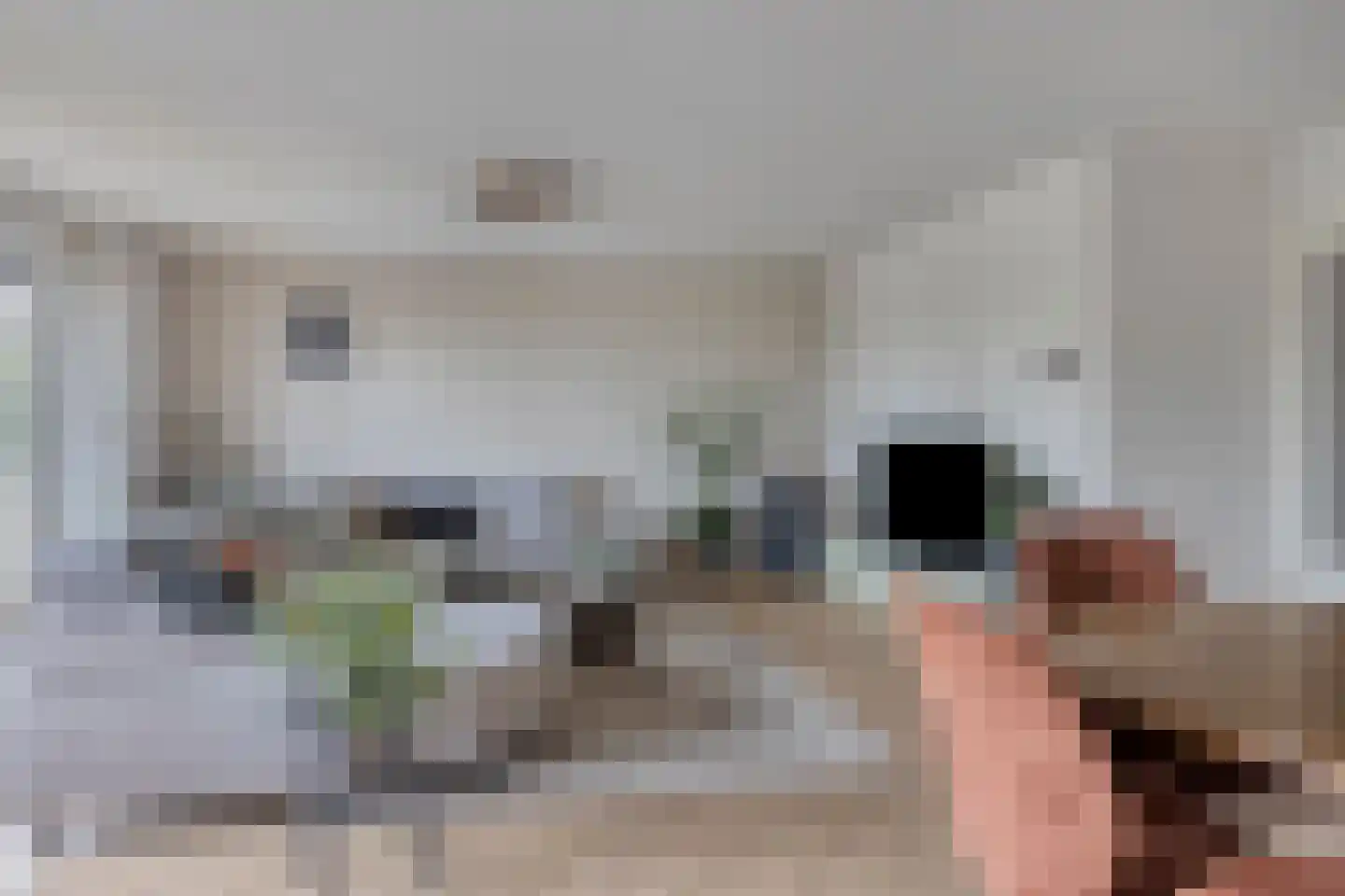 Dillehof 41 Oosterhout thumbnail 8