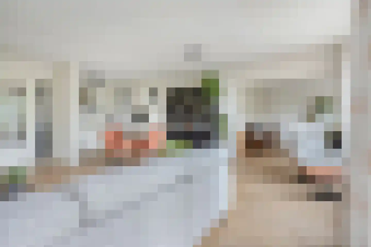 Dillehof 41 Oosterhout thumbnail 9