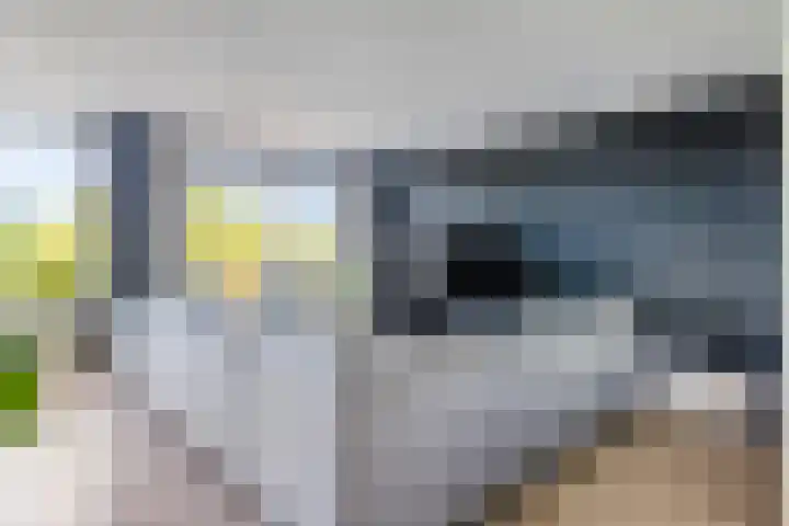 Dillehof 65 Oosterhout thumbnail 10