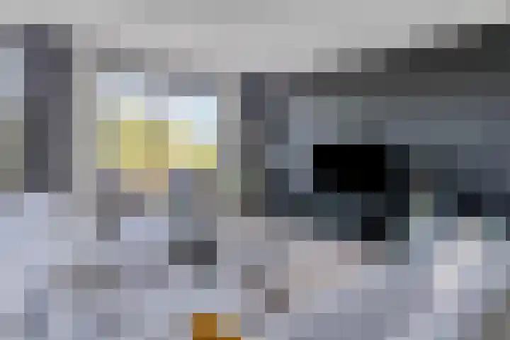 Dillehof 65 Oosterhout thumbnail 11