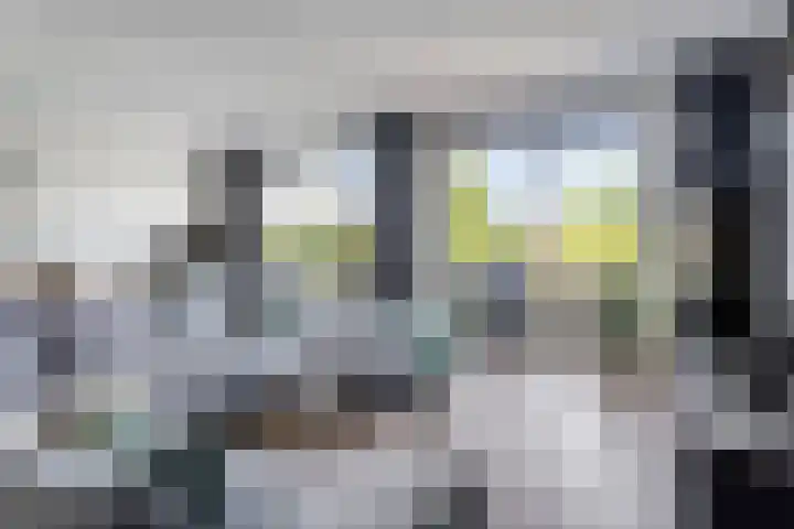 Dillehof 65 Oosterhout thumbnail 12