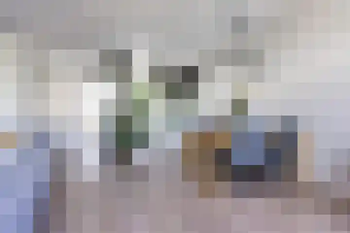 Dillehof 65 Oosterhout thumbnail 15