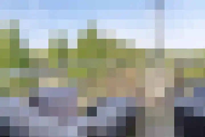 Dillehof 65 Oosterhout thumbnail 19