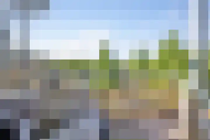 Dillehof 65 Oosterhout thumbnail 20