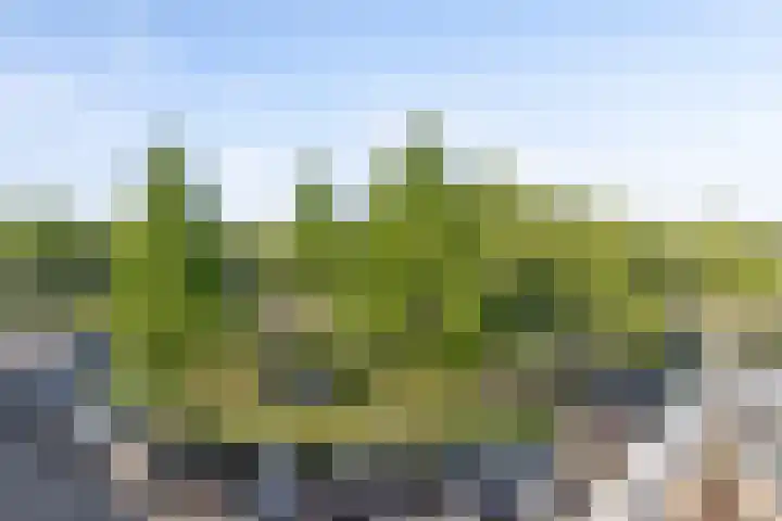 Dillehof 65 Oosterhout thumbnail 21