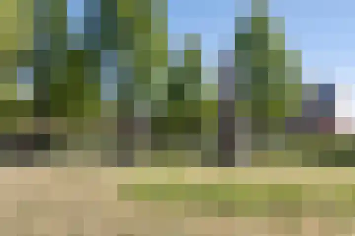 Dillehof 65 Oosterhout thumbnail 22