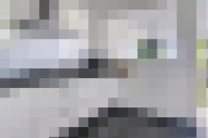 Dillehof 65 Oosterhout thumbnail 25