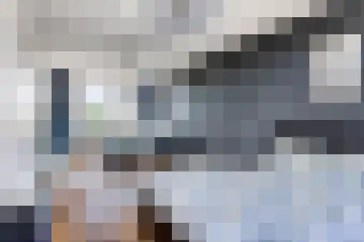 Dillehof 65 Oosterhout thumbnail 27