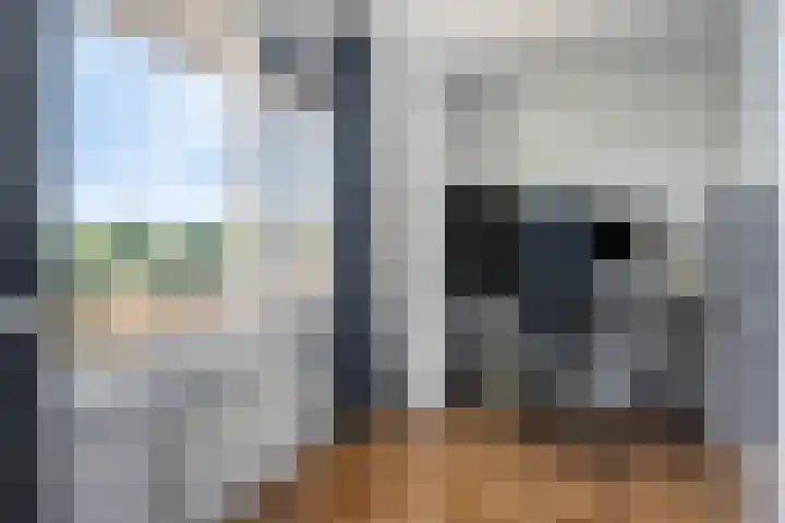 Dillehof 65 Oosterhout thumbnail 31