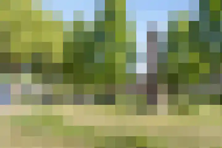 Dillehof 65 Oosterhout thumbnail 35