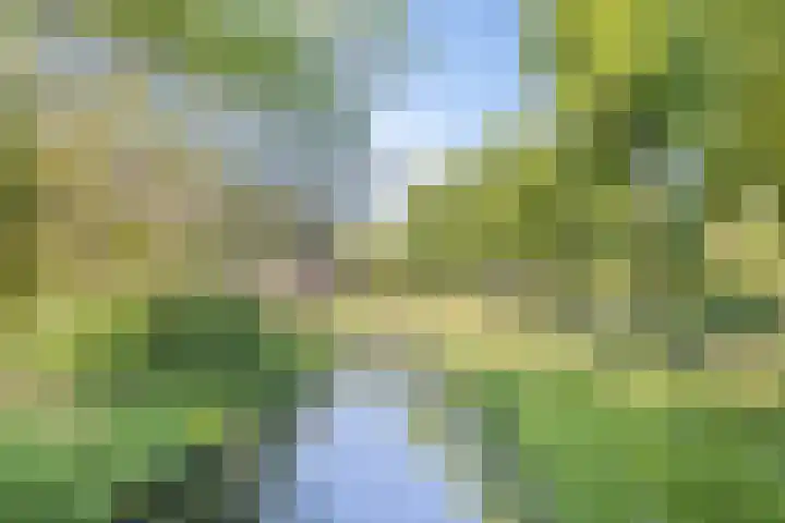 Dillehof 65 Oosterhout thumbnail 36