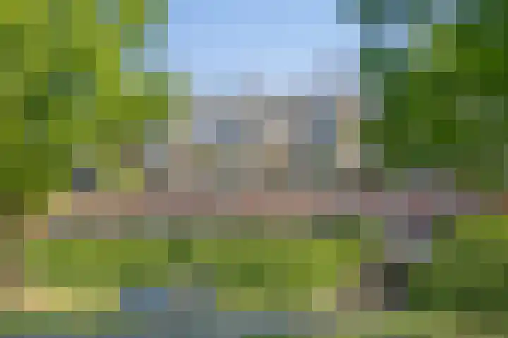 Dillehof 65 Oosterhout thumbnail 42