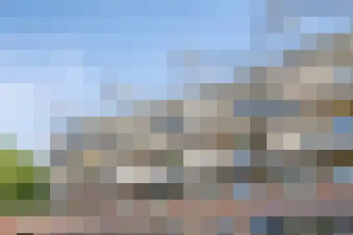 Dillehof 65 Oosterhout thumbnail 5