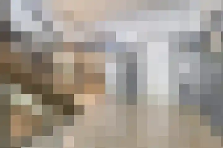 Dillehof 65 Oosterhout thumbnail 6