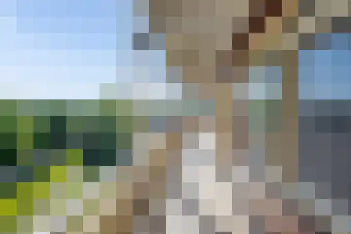 Dillehof 65 Oosterhout thumbnail 7