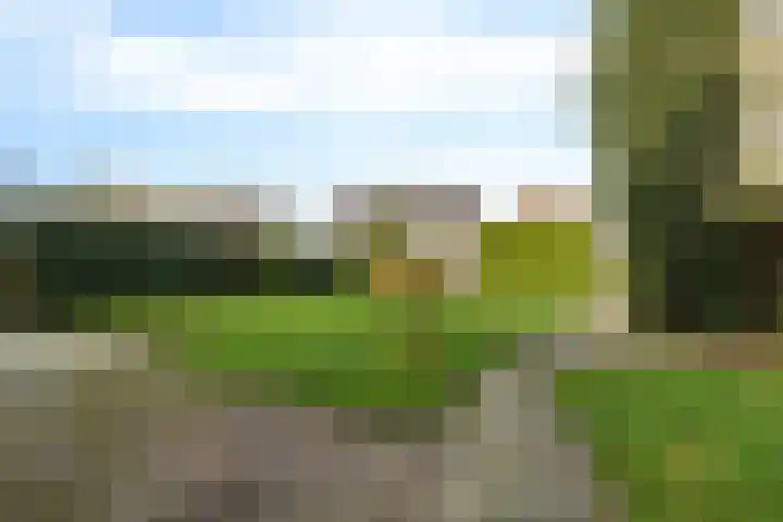 Dillelaan 12 Onstwedde thumbnail 20