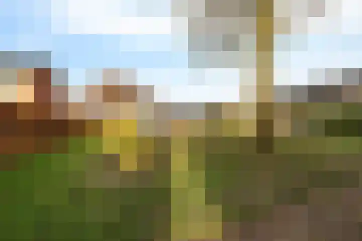 Dillelaan 12 Onstwedde thumbnail 21