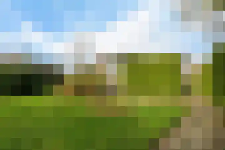 Dillelaan 12 Onstwedde thumbnail 22