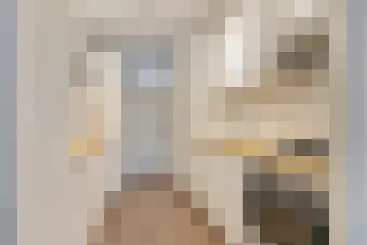 Dillenburg 10 Doorwerth thumbnail 10