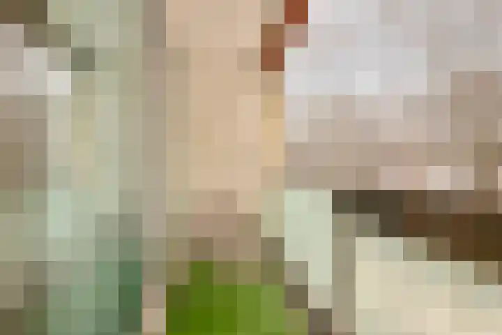 Dillenburg 10 Doorwerth thumbnail 8