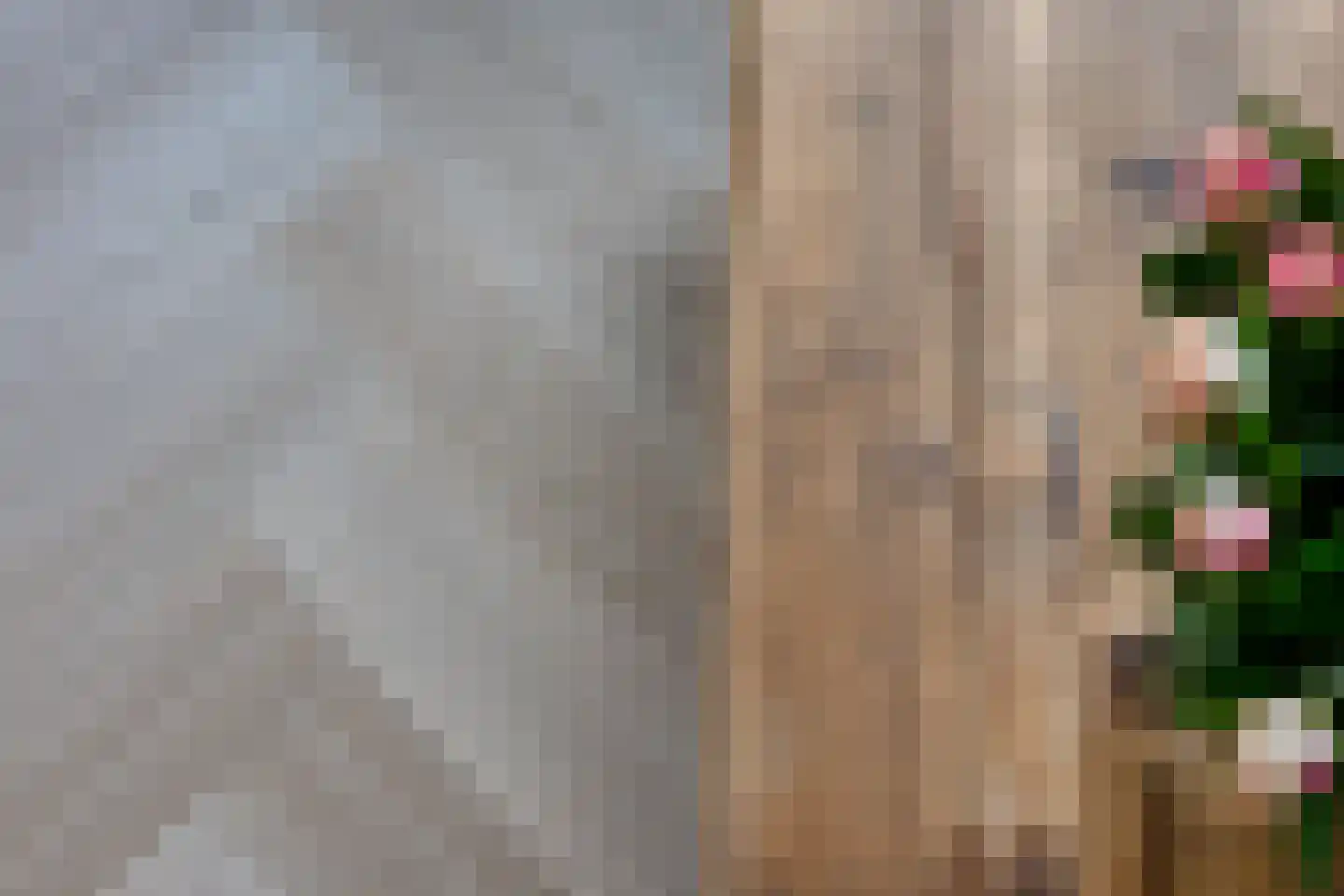 Dillenburg 12 Hendrik-Ido-Ambacht thumbnail 13
