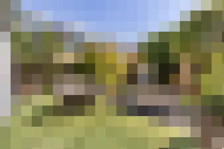 Dillenburg 15 Halfweg thumbnail 10