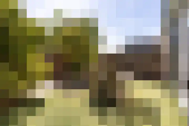 Dillenburg 15 Halfweg thumbnail 11