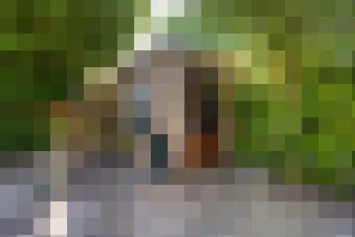 Dillenburg 15 Halfweg thumbnail 12