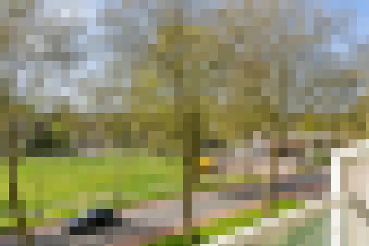 Dillenburg 180 Doorwerth thumbnail 19