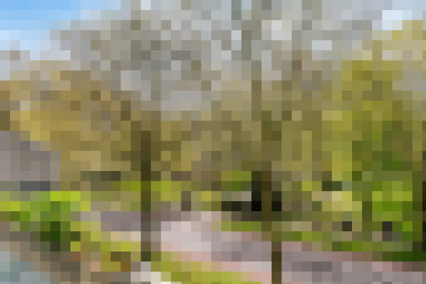 Dillenburg 180 Doorwerth thumbnail 21