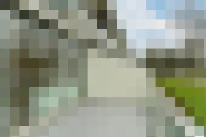Dillenburg 244 Doorwerth thumbnail 24