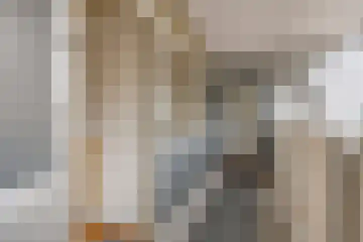 Dillenburg 310 Doorwerth thumbnail 11