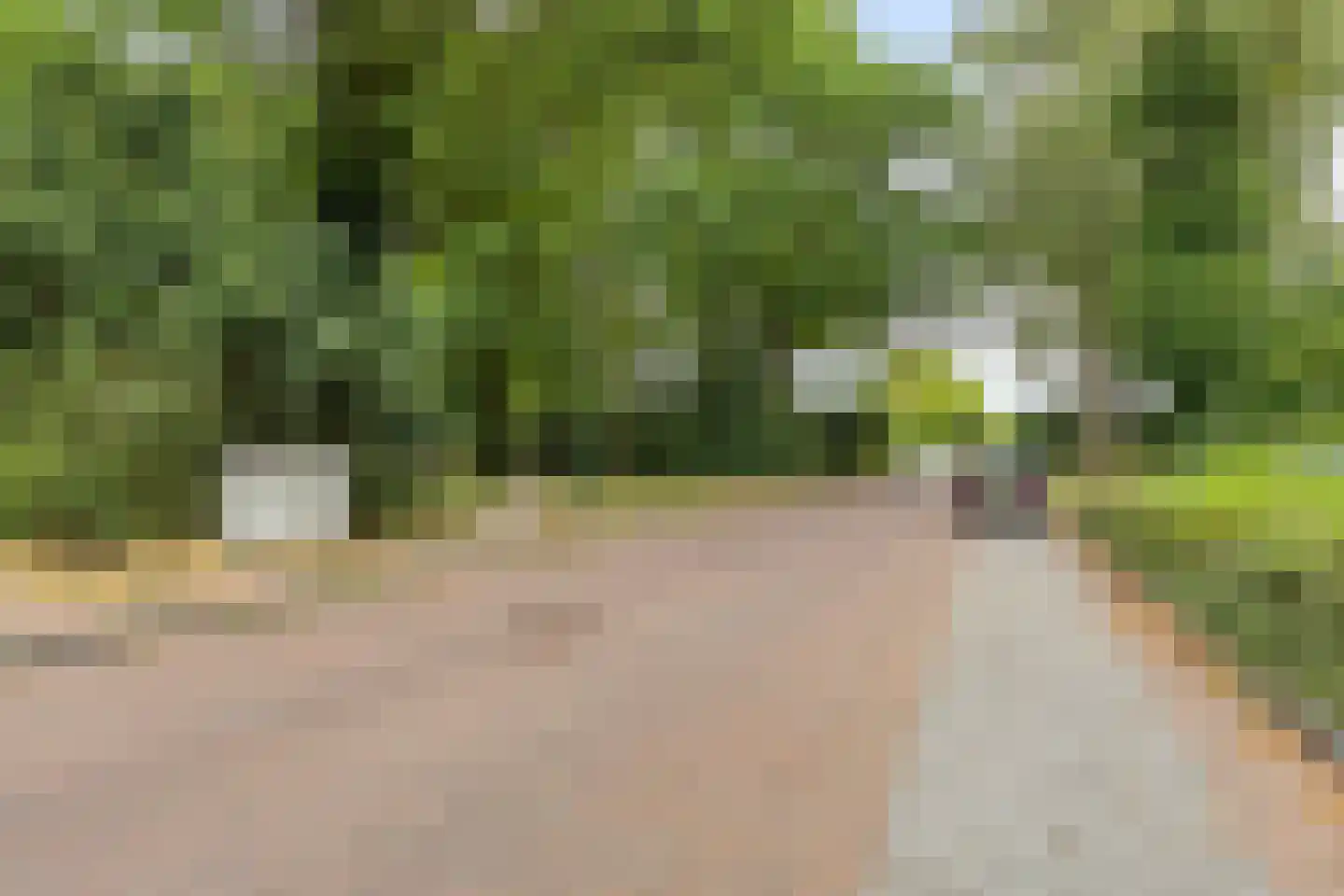 Dillenburg 358 Doorwerth thumbnail 23
