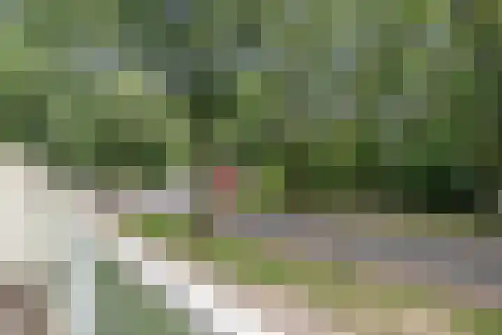 Dillenburg 48 Doorwerth thumbnail 20