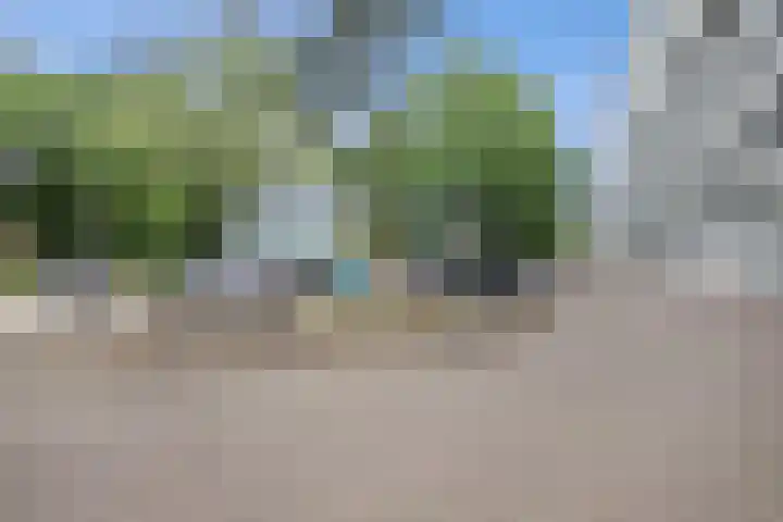 Dillenburg 48 Doorwerth thumbnail 27