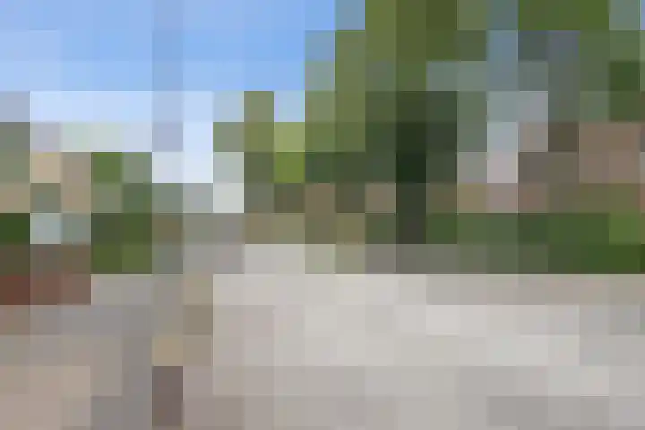 Dillenburg 48 Doorwerth thumbnail 28